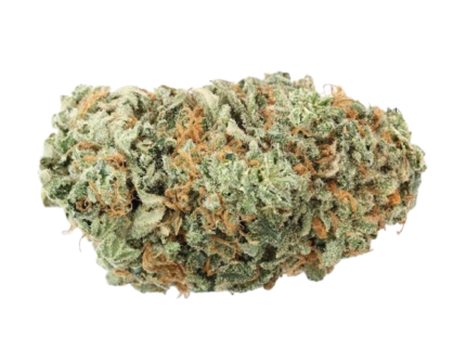 Jack Herer