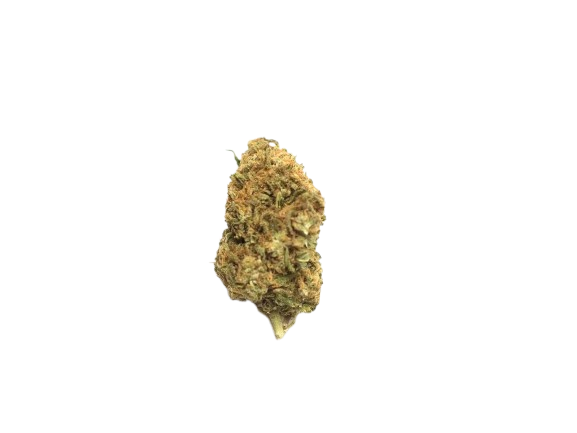 Lemon_Haze-removebg-preview Lemon Haze