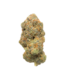 Purple Mimosa